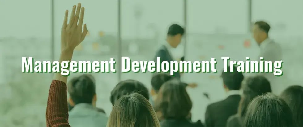 Management-Development-Hover-Box-scaled