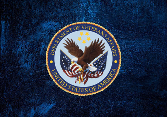 GOVERNMENT: VOW-VEI