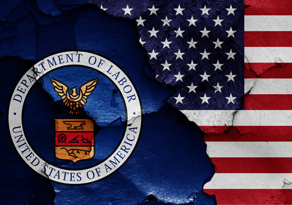 GOVERNMENT: DOL-EFAST2