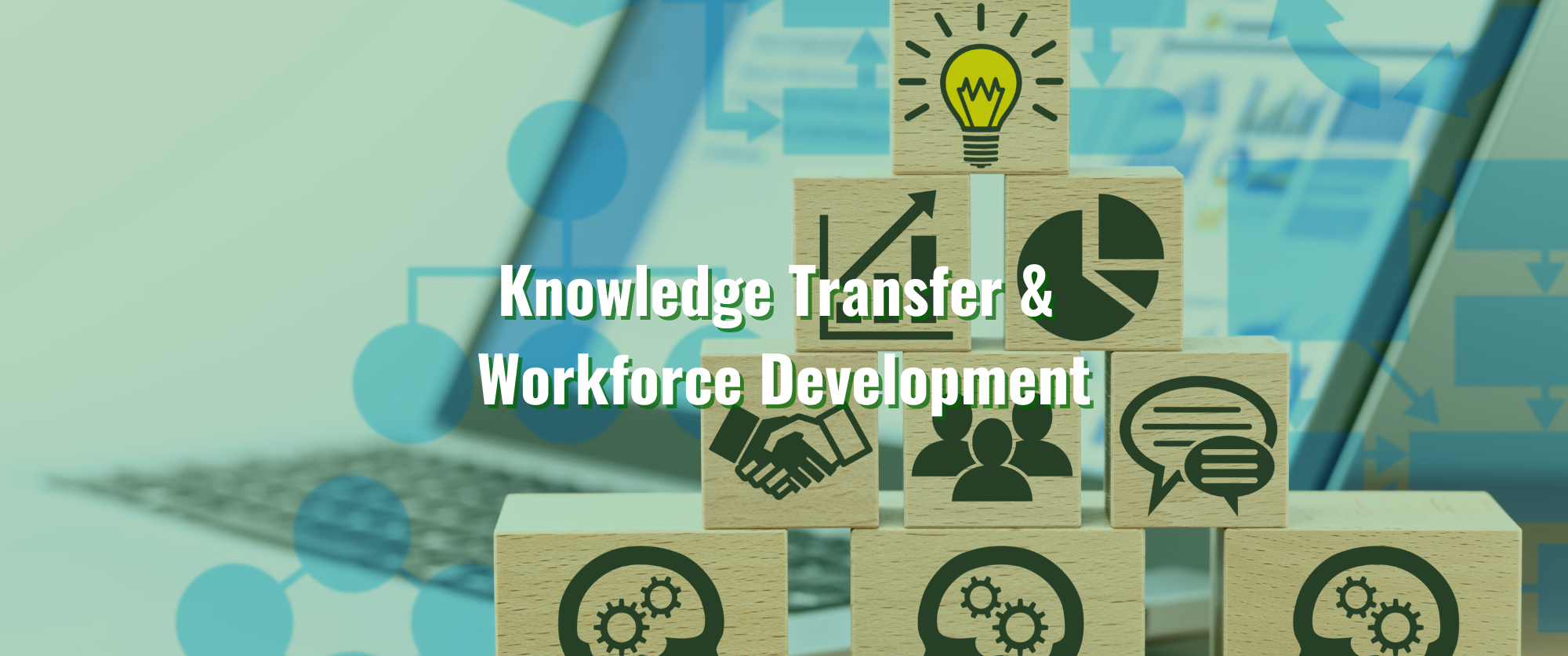 Knowledge Transfer &  Workforce Development