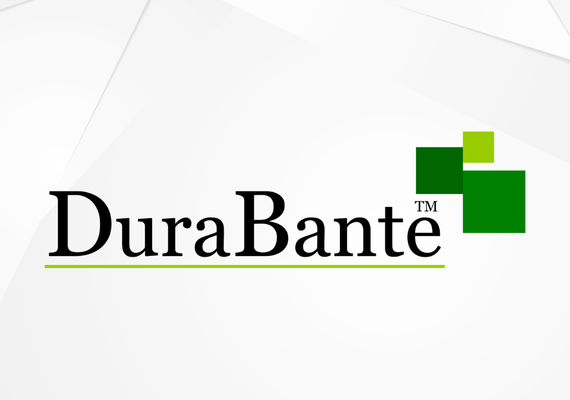 Logo Website